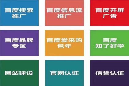 某大型企业利用信息流代理提升数据效率的实践